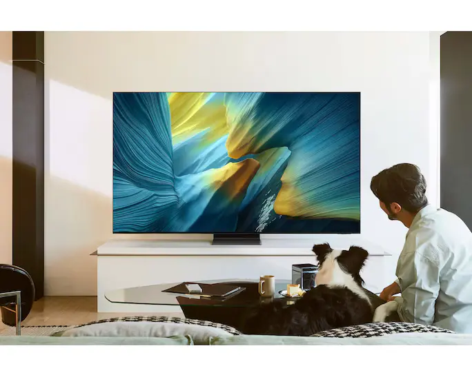 uk-oled-tv-qe65s95fatxxu-----oled-s--f---k--vision-ai-smart-tv--------black-549280875.webp